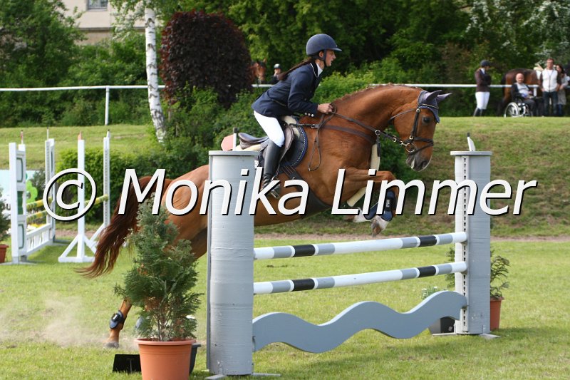 204M1630_Gracy Girl_Spring_Ax.JPG